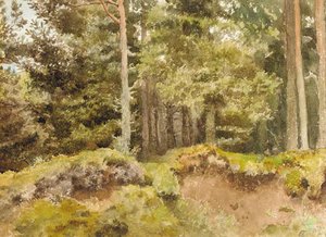 An Essex Wood — Archibald Thorburn