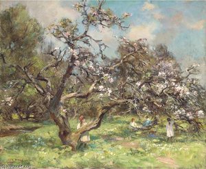 Cherry Blossom — William Stewart Macgeorge