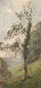 Tree — Benjamin Haughton
