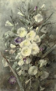 Purple And White Field Bindweed — Margaretha Roosenboom