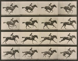 Annie G. With Jockey (.031 Second), One Stride In 16 Phases (right Lead), Time Of Stride: .46 Second; Strides Per Mile: 233; Speed: 1 Mile In About 107 Seconds — Eadweard J Muybridge, Realism