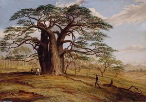 A Baobab Near The Bank Of The Lue — Thomas Baines