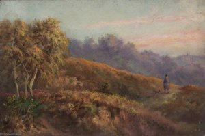 Evening on Addington Hills, Croydon, Surrey