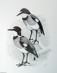 Untitled (AQZDWE)