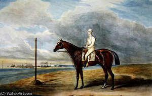 Lord Lowther's 'Spaniel' W