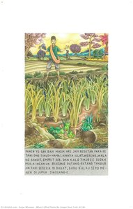When Coffee Plants No Longer Bear Fruit (07/20)