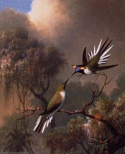 Two Sun Gems On A Branch — Martin Johnson Heade