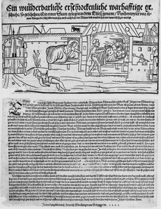 A wunderbarliche erschrockenliche warhafftige historian (Rychenwyler)