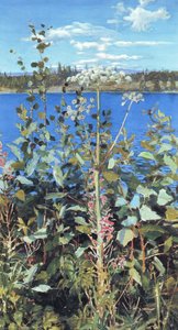 Wild Angelica — Akseli Gallen-kallela
