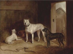 A Bulldog And Bullterriers In An Outhouse — Abraham Cooper