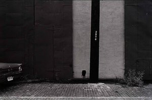 Untitled (Pole 2573)