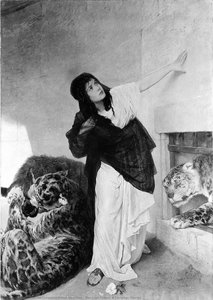 The Last Token: A Christian Martyr