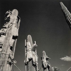 Jardín Botánico (botanical Garden), Oaxaca — Graciela Iturbide, Humanist Documentary Photography