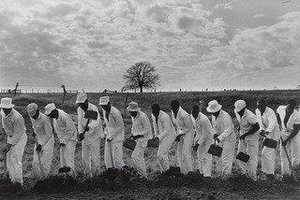 The Line, Ferguson Prison, Texas