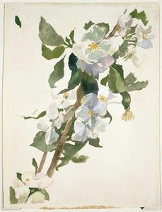 Apple Blossoms 2 — John La Farge
