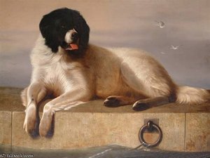 A Distinguished Member Of The Humane Society — George Cole Senior