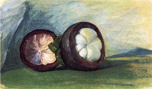 Fruit Of The Mangosteen, Java — John La Farge