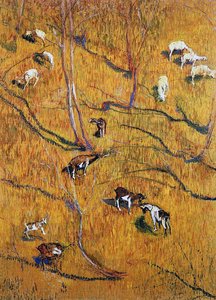 Sunny slope with goats
