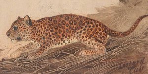 A Leopard — William Bell Scott