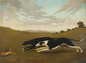 Two Greyhounds, Called ‘Deadalas’ and ‘Datchess'