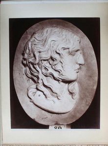 Ludovisi Museum. Ludovisi Fury — Domenico Anderson