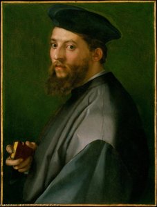 Portrait Of A Man — Andrea Del Sarto