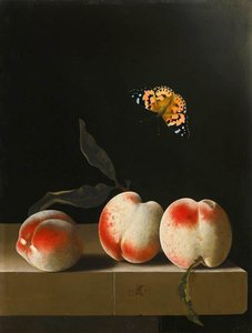 Still Life With Peaches — After Adriaen Coorte