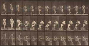 Woman Seated, Legs Crossed, Drinking From Teacup, From The Book Animal Locomotion — Eadweard J Muybridge