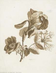 Three Flowers