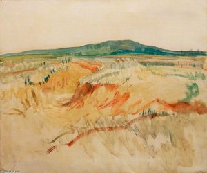 Bourlon Wood, Somme — Ambrose Mcevoy