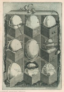 Exlibris Of A.o. — Oleksandr Aksinin