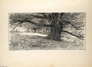 Tree Trunk 1 — John Ottis Adams