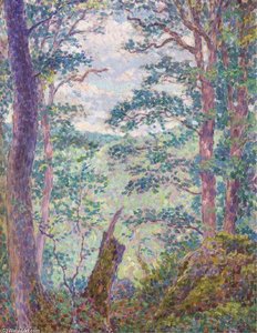 Sous-bois - — Georges Lacombe