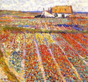 Tulip Fields At Noordwijk (holland)