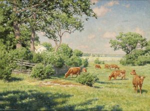 Grazing Cows — Johan Krouthén