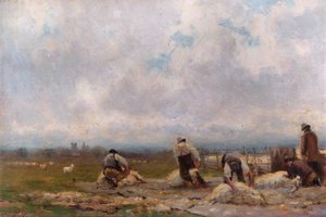 Sheep Shearing, Lower Heath
