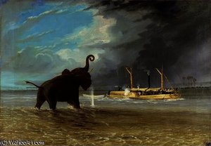 Ma Robert And Elephants — Thomas Baines