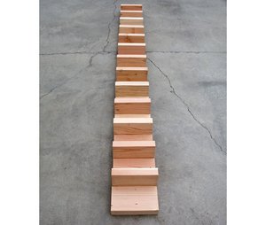 Douglas Fir Rank (view 2) — Carl Andre