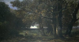 Rayon d'automne. Souvenir du parc de Cognac