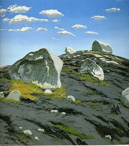 Untitled (1765) — Neil Gavin Welliver
