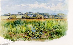Criccieth, N Wales — George Elbert Burr