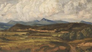 Extensive Landscape