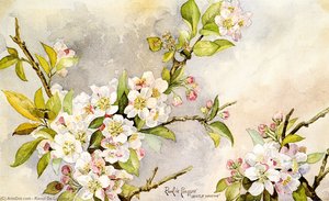 Gentle Wakings — Raoul De Longpre