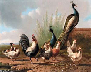 Peacocks, Chickens, Ducks And A Rooster By A Pond — Albert Verhoesen