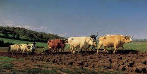Pflügen im Nivernais