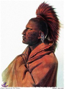 Sharper Native Americans (23) — Karl Bodmer