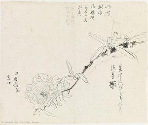 Flower — Xie Zhiliu