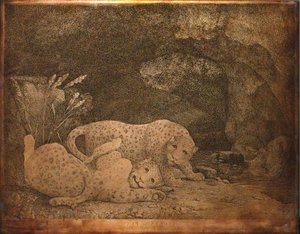 Leopards At Play — George Stubbs