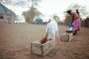 Observant Keepers — Vibhor Yadav