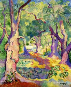 Olive-trees Near Cavaliere — Henri Gaudier-brzeska